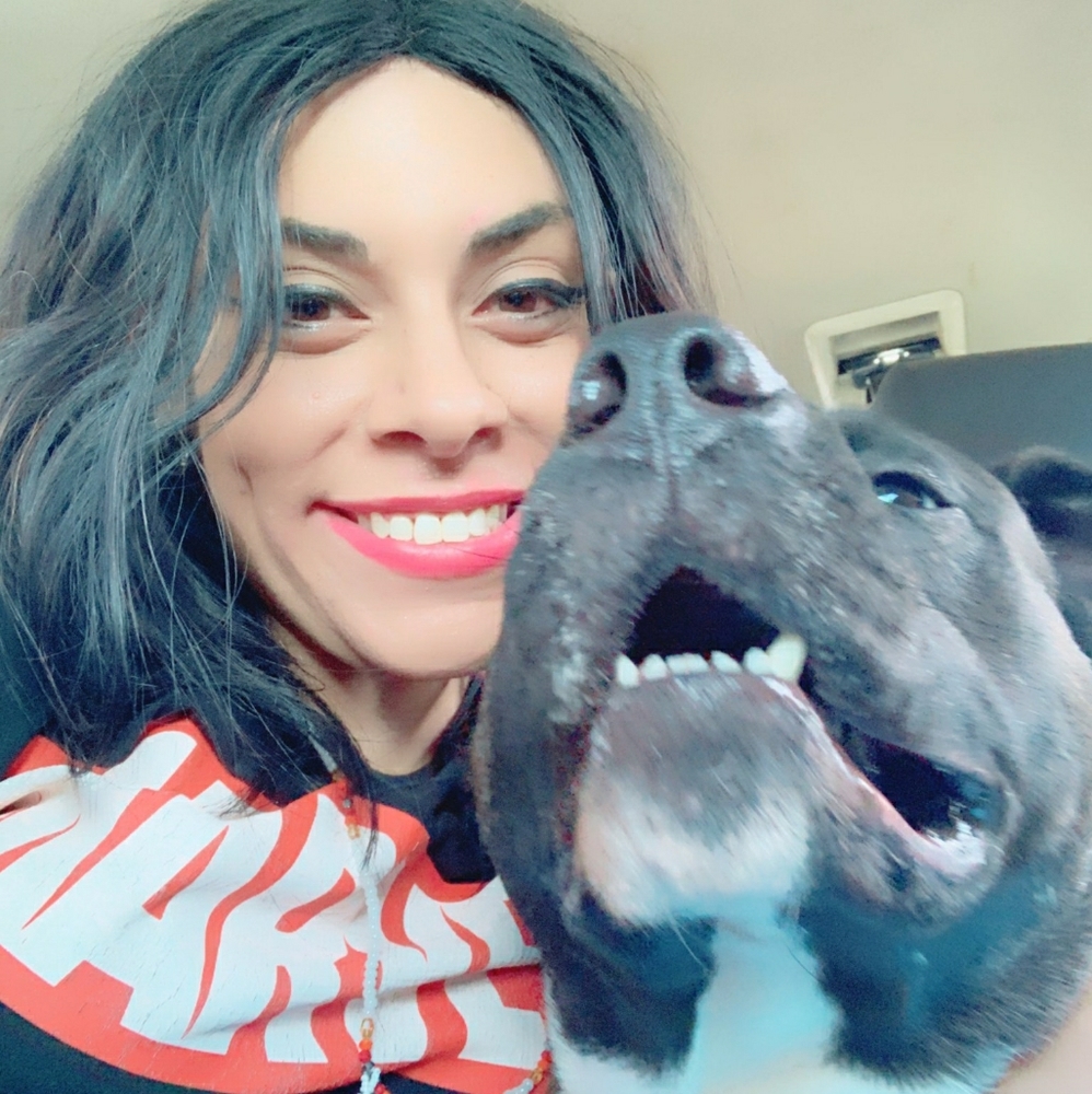 Meet your Posher, Dymi